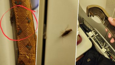 UN Diplomat Shares Worst Experience of Travelling in Air India, Complains for Broken Seats, Cockroaches on New York-Delhi Flight (See Pics)